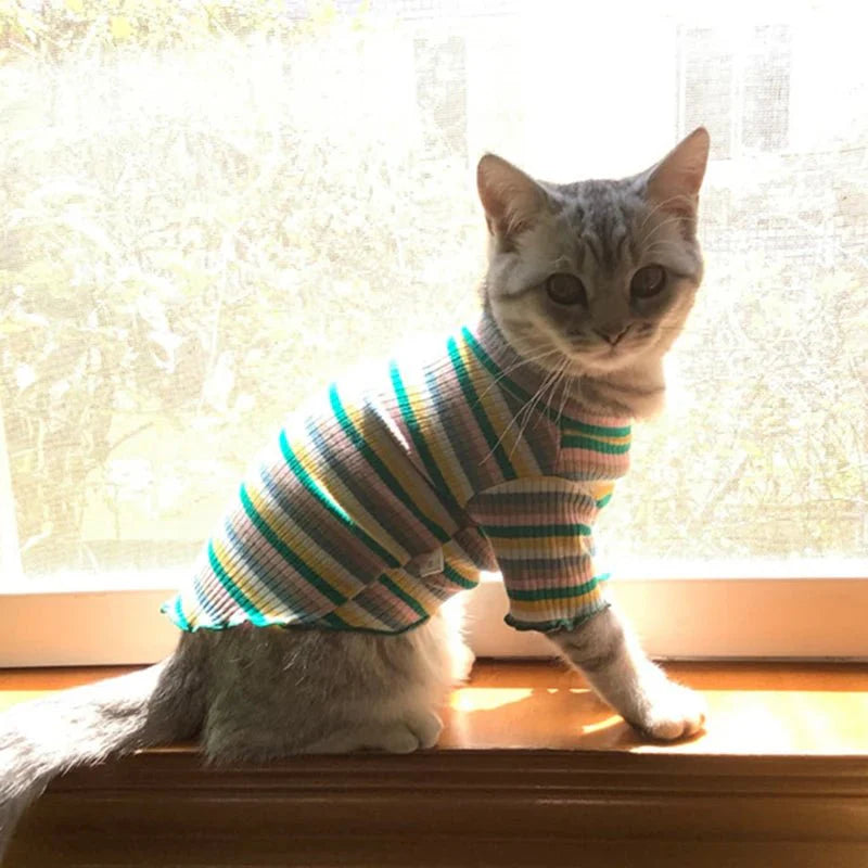 T-Shirt Rayé Multicolore pour Chat