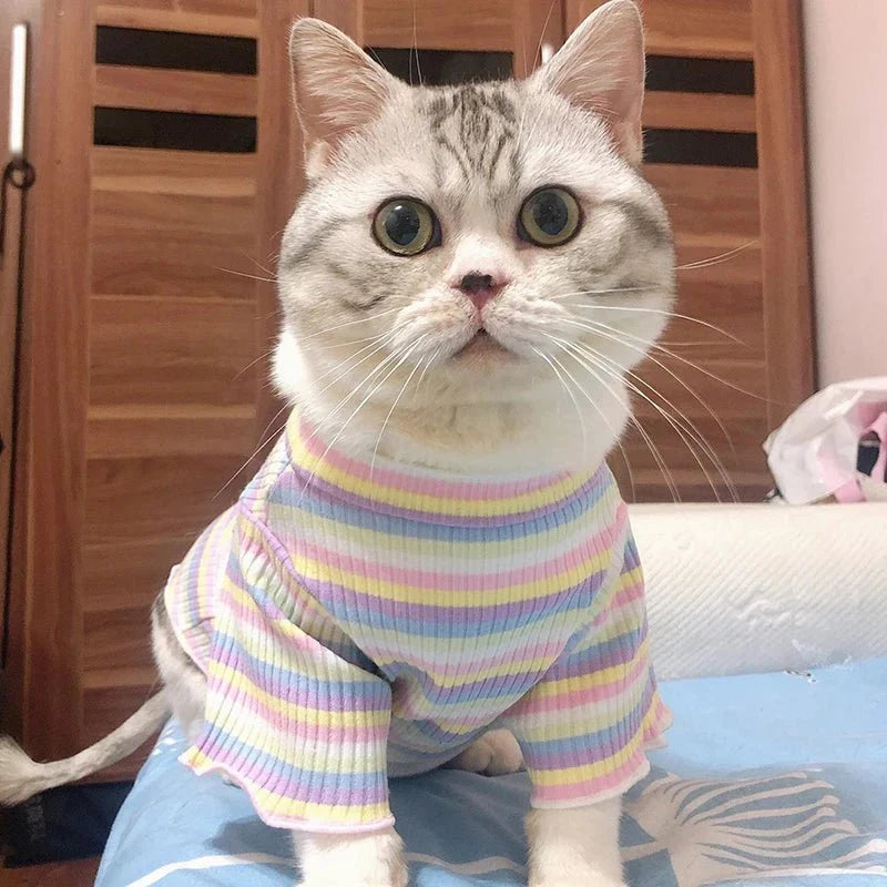 T-Shirt Rayé Multicolore pour Chat