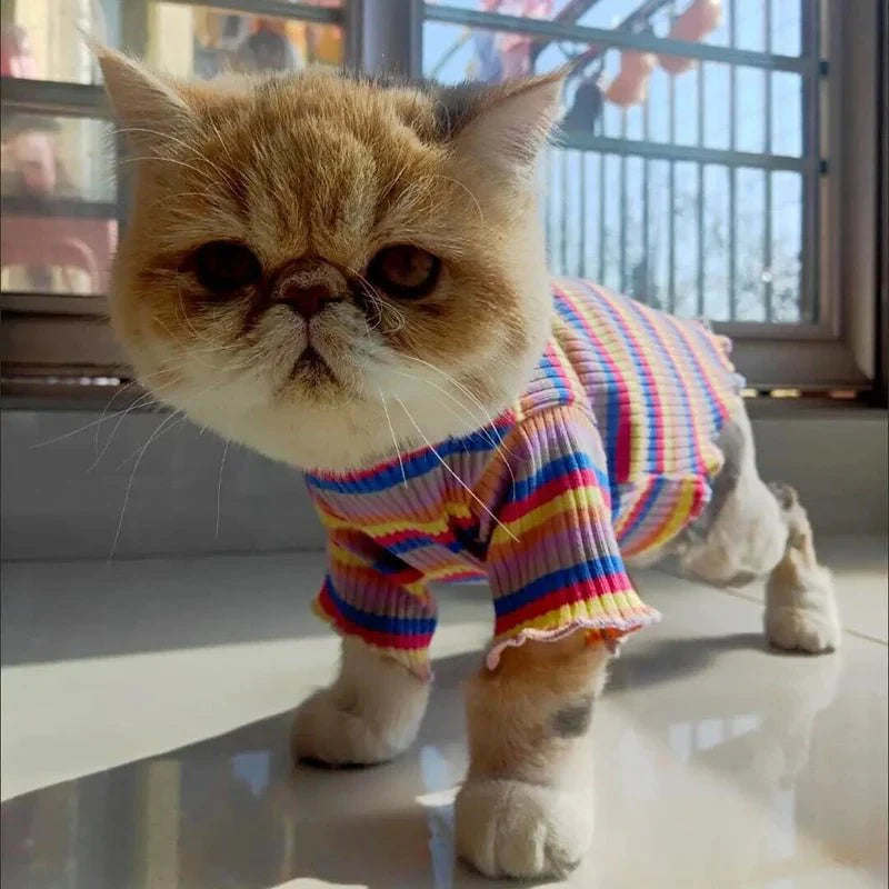 T-Shirt Rayé Multicolore pour Chat