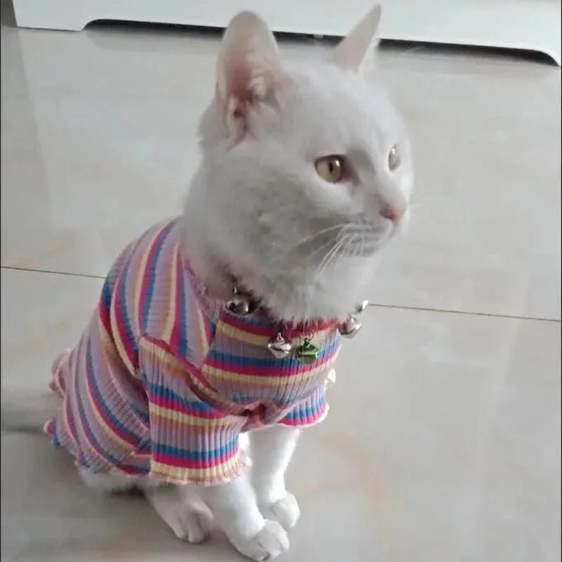 T-Shirt Rayé Multicolore pour Chat