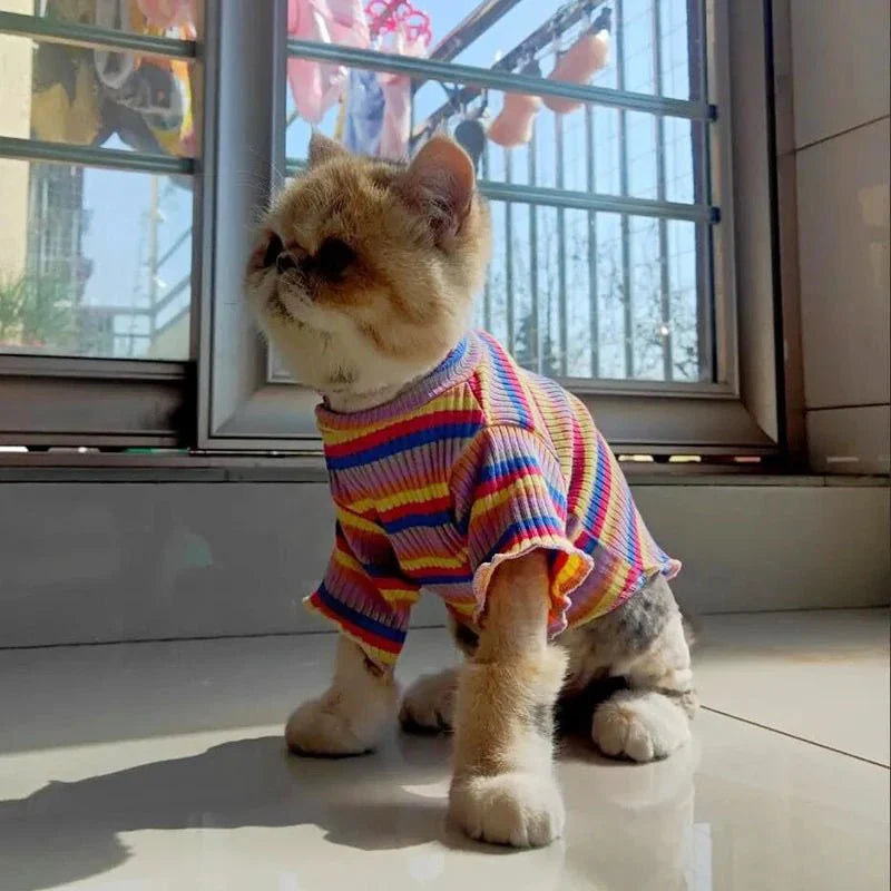 T-Shirt Rayé Multicolore pour Chat
