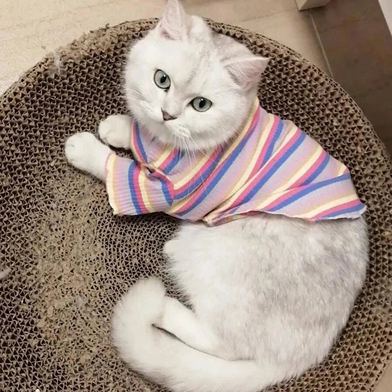 T-Shirt Rayé Multicolore pour Chat