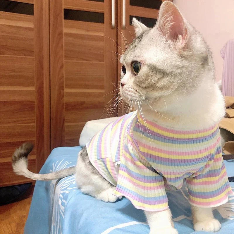T-Shirt Rayé Multicolore pour Chat