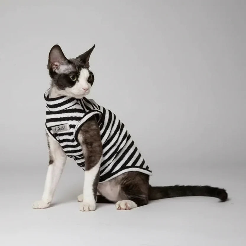 T-shirt Léger En Coton Rayé Pour Chat
