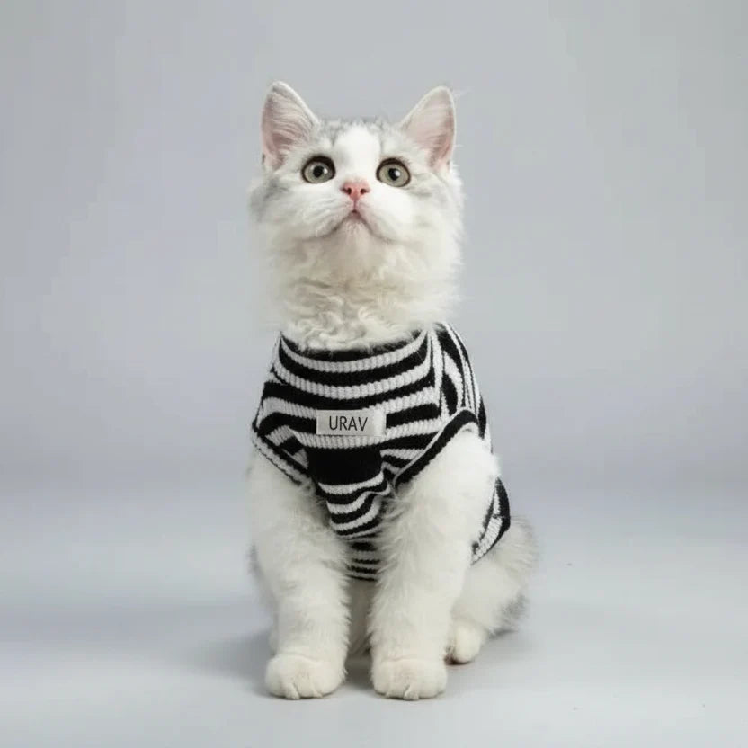 T-shirt Léger En Coton Rayé Pour Chat