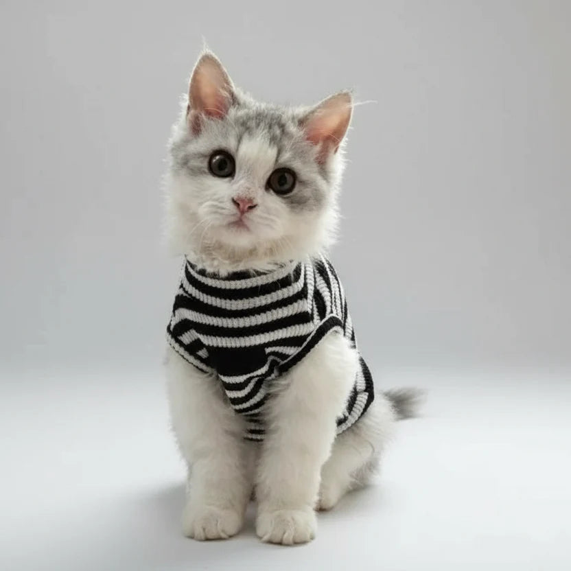 T-shirt rayé pour chat noir et blanc, parfait pour les chats à la mode