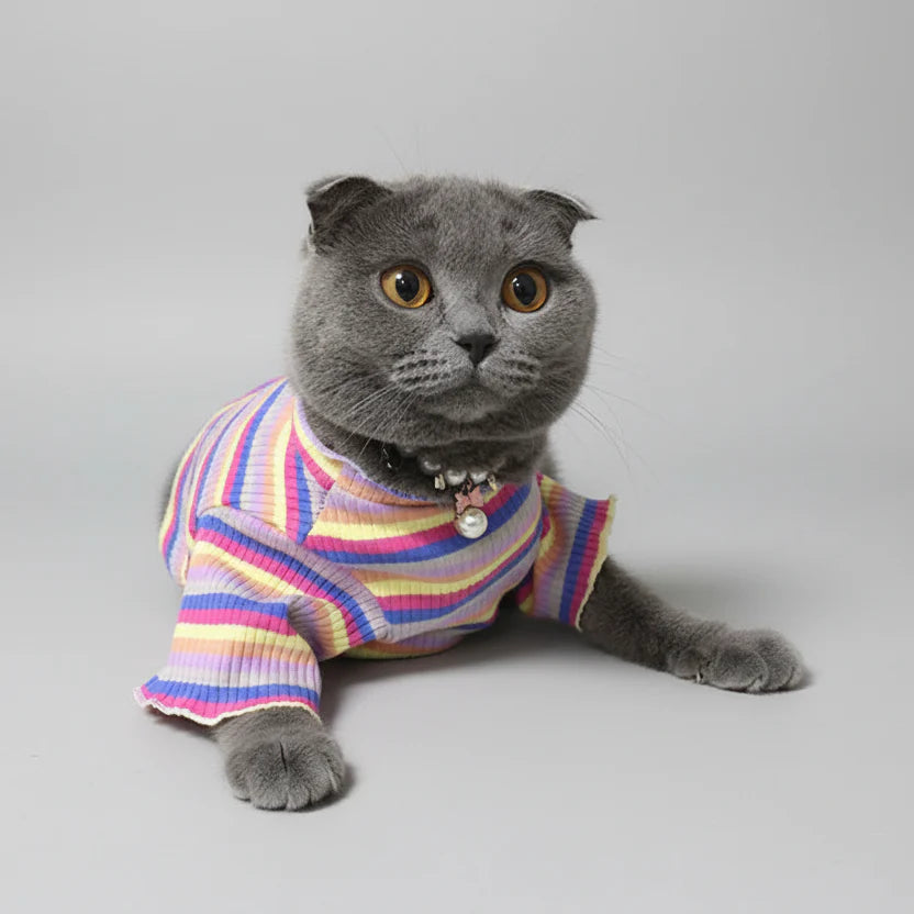 T-shirt Confortable Rayé Pour Les Chats