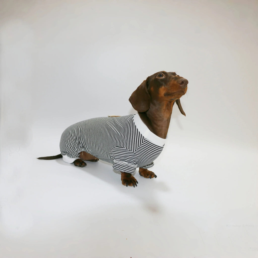 T-Shirt Rayé Manches Longues Pour Chien Teckel