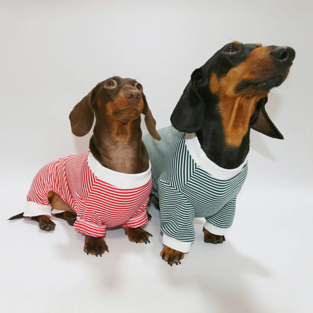 T-Shirt Rayé Manches Longues Pour Chien Teckel