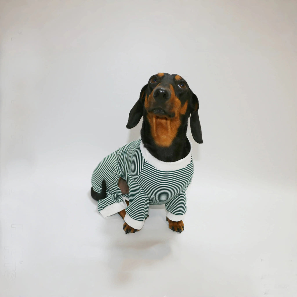T-Shirt Rayé Manches Longues Pour Chien Teckel