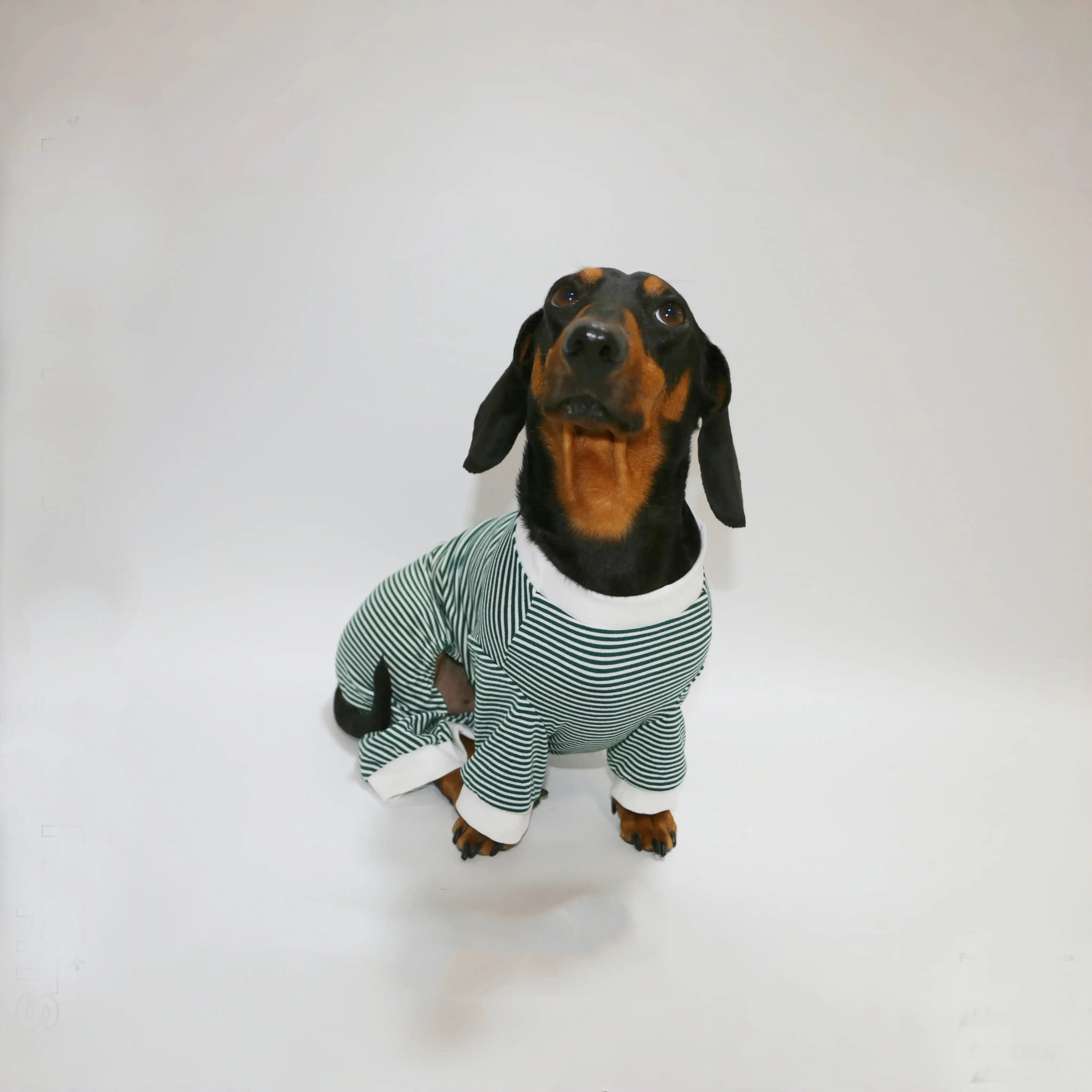 T-Shirt Rayé Manches Longues Pour Chien Teckel
