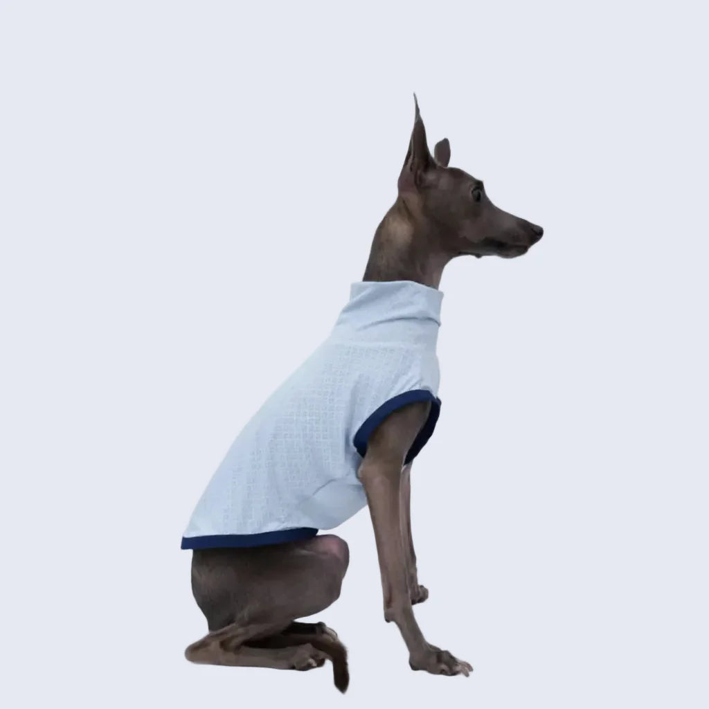 T-Shirt Respirant Et Doux Pour Lévrier