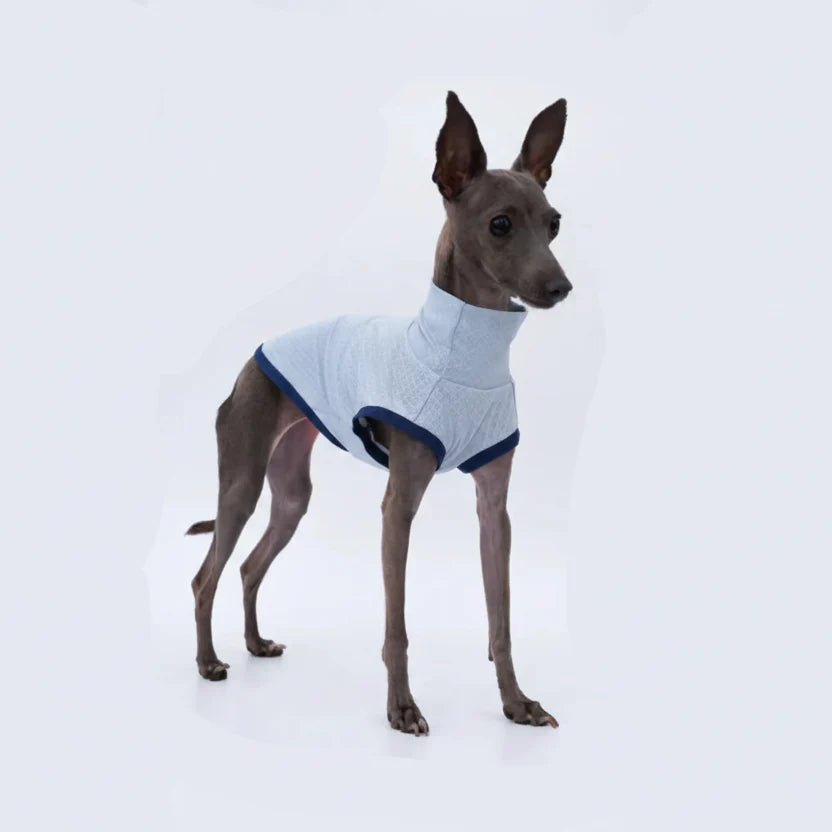 T-shirt respirant pour lévrier en bleu, idéal pour le confort de votre animal pendant les activités de plein air.