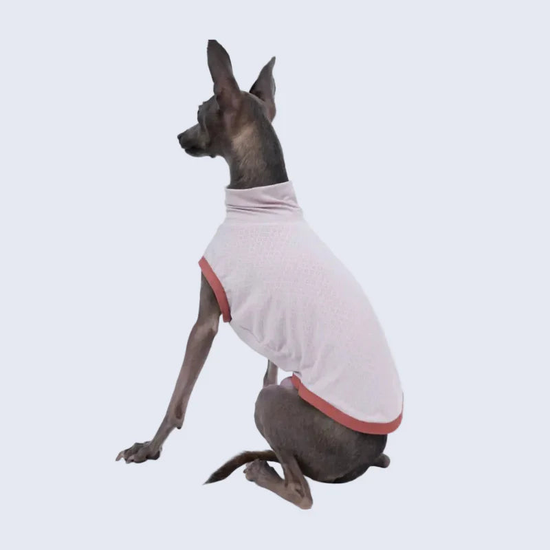 T-Shirt Respirant Et Doux Pour Lévrier