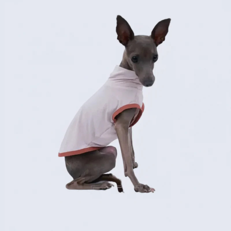 T-Shirt Respirant Et Doux Pour Lévrier