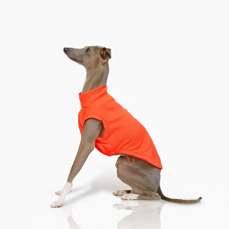 T-shirt Respirant Pour Chien Lévrier Et Whippet