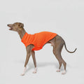 T-shirt respirant pour lévrier en orange, conçu pour un confort optimal pendant les activités extérieures
