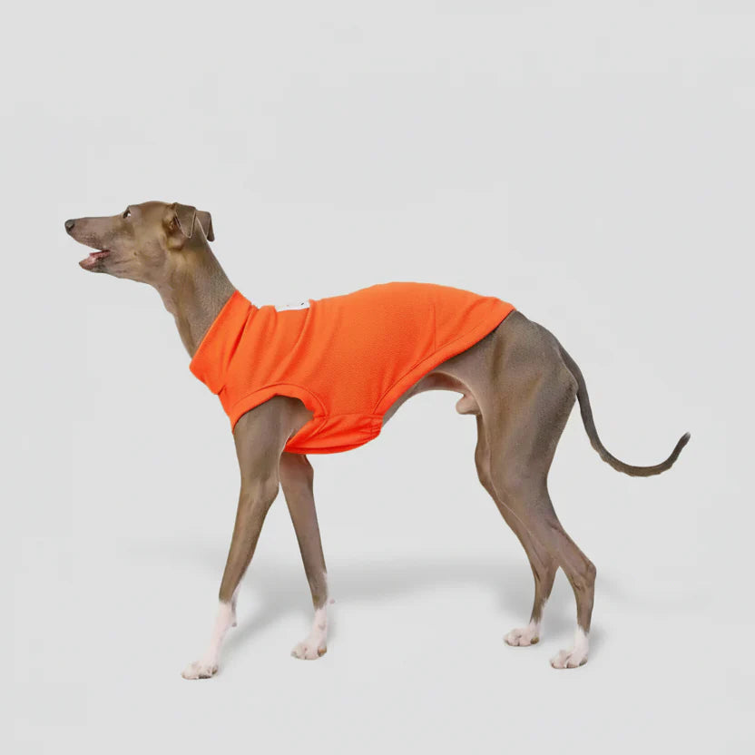 T-shirt respirant pour lévrier en orange, conçu pour un confort optimal pendant les activités extérieures