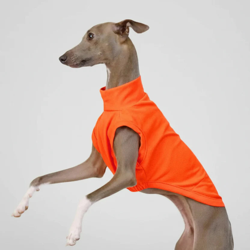 T-shirt Respirant Pour Chien Lévrier Et Whippet