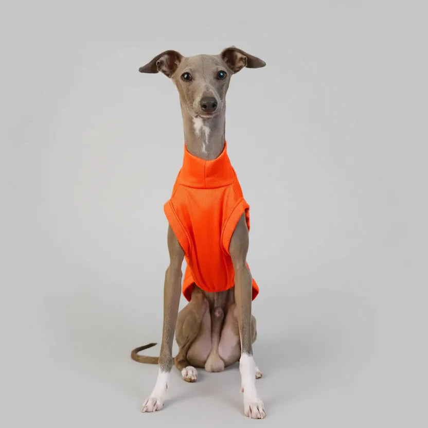 T-shirt Respirant Pour Chien Lévrier Et Whippet