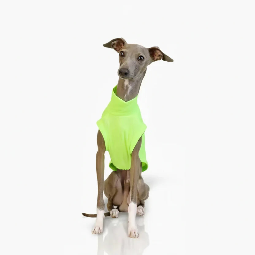 T-shirt Respirant Avec Protection UV Pour Lévrier Et Whippet