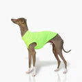 T-shirt respirant pour lévrier en vert fluo, parfait pour le confort et le style des lévriers