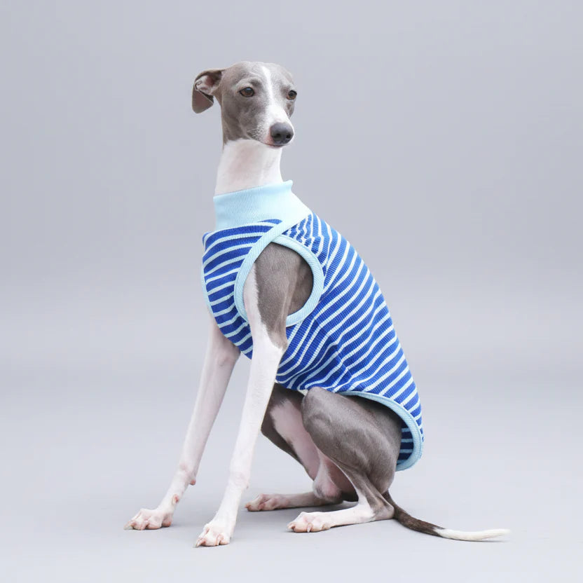 T-shirt sans manche pour lévrier en bleu rayé, idéal pour le confort des chiens élégants