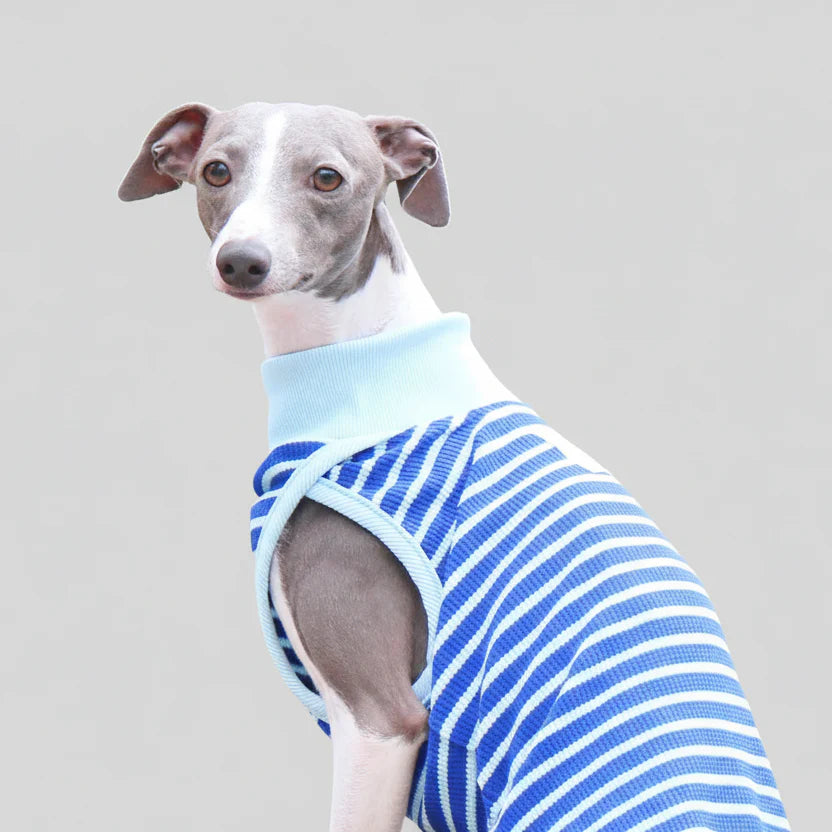 T-Shirt Sans Manche Pour Chien Whippet Et Lévrier