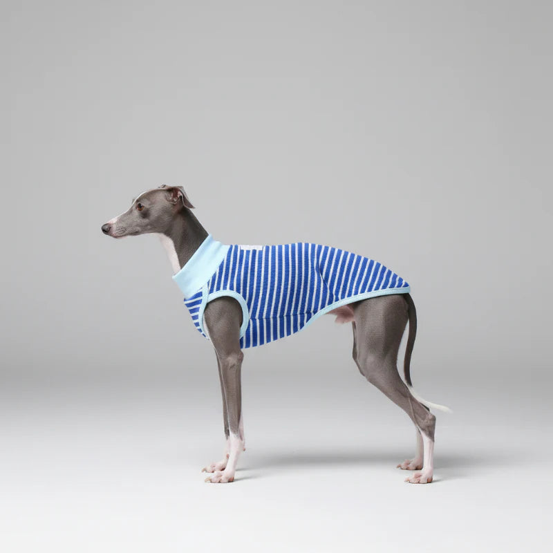 T-Shirt Sans Manche Pour Chien Whippet Et Lévrier