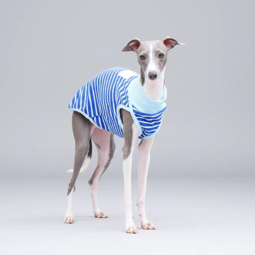 T-Shirt Sans Manche Pour Chien Whippet Et Lévrier