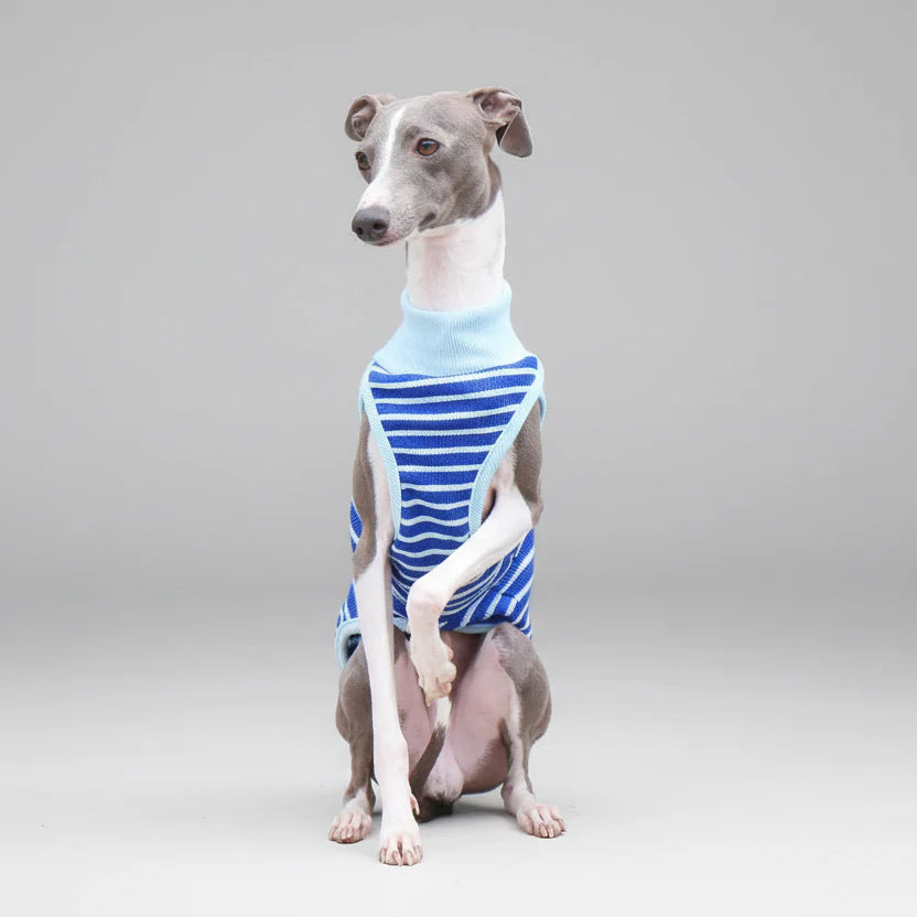 T-Shirt Sans Manche Pour Chien Whippet Et Lévrier