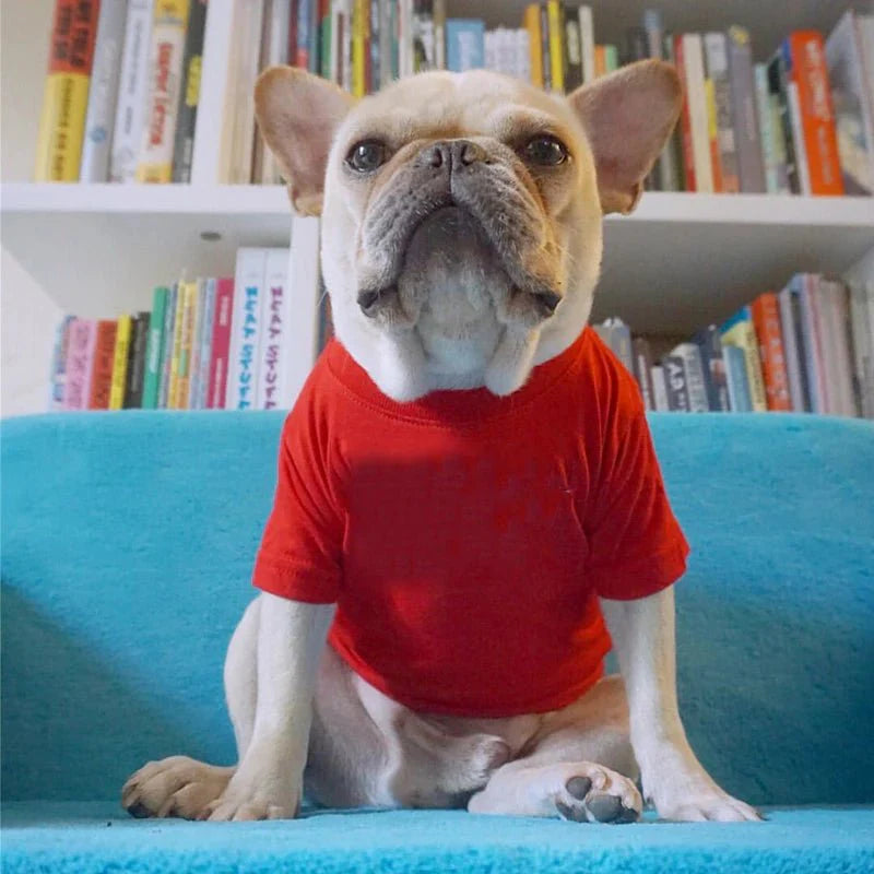 T-Shirt Uni pour Chien