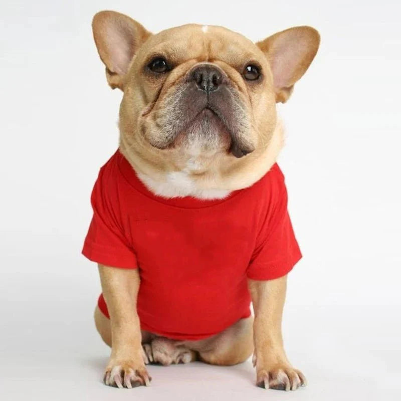 T-Shirt Uni pour Chien