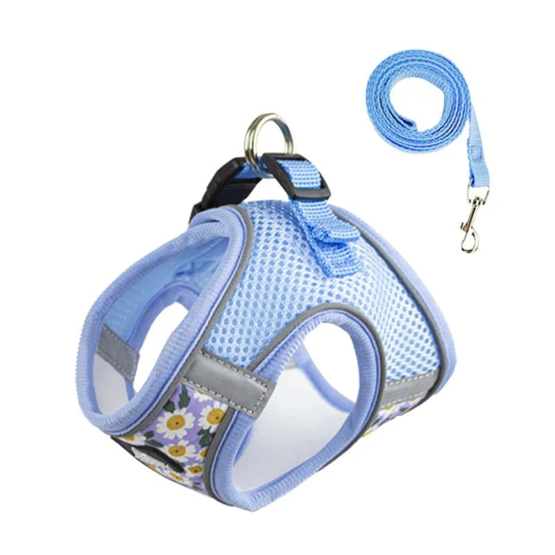 Ensemble harnais et laisse pour chien bleu avec motif floral, maille respirante et attache métallique