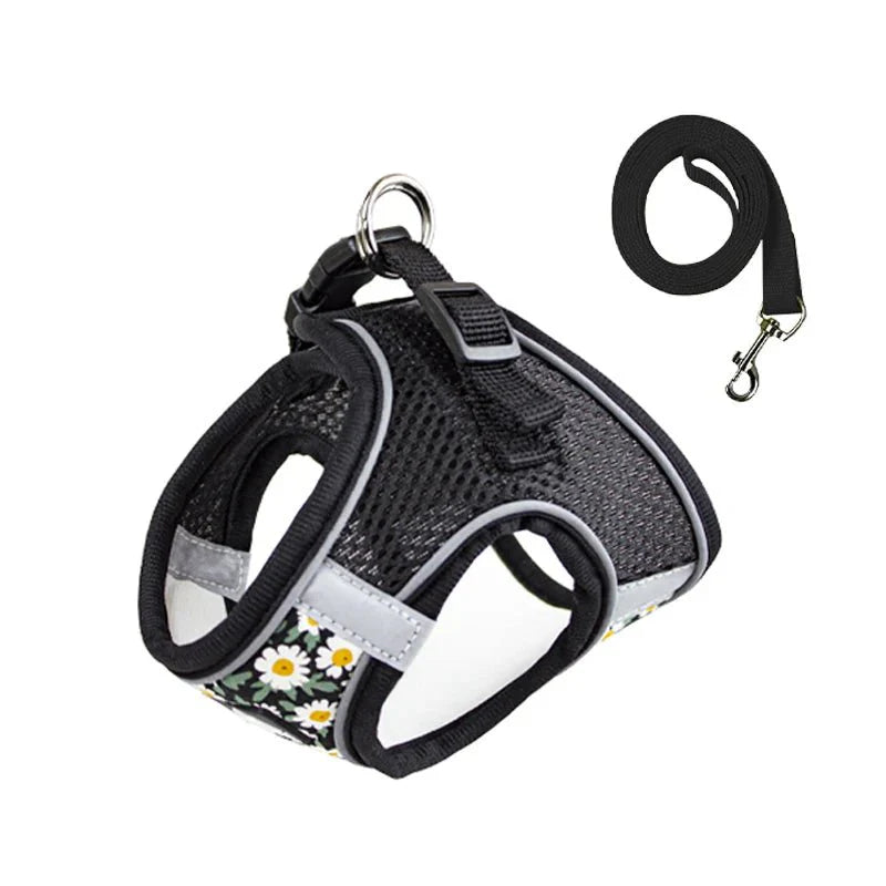 Ensemble harnais et laisse pour chien noir avec motif marguerite par Oscar et Plume