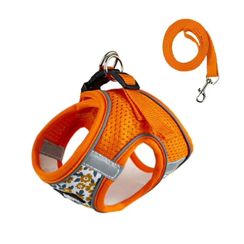 Ensemble harnais et laisse pour chien orange respirant avec motifs floraux et boucle métallique