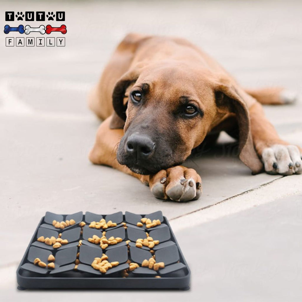 Tapis anti glouton chien - SiliconeToutou™
