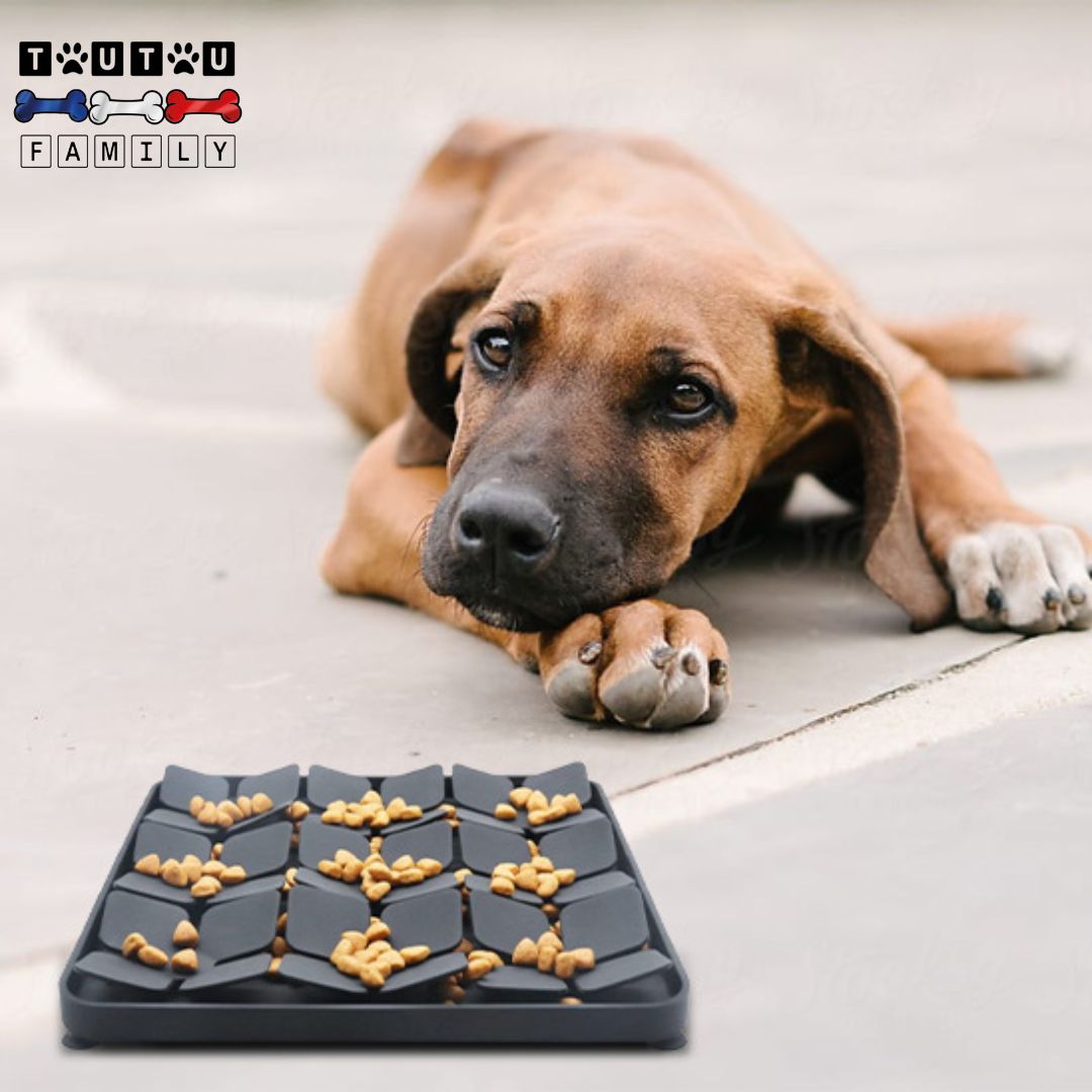 Tapis anti glouton chien - SiliconeToutou™