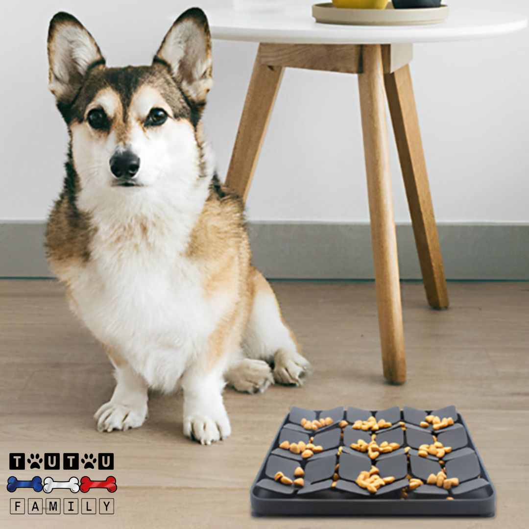 Tapis anti glouton chien - SiliconeToutou™