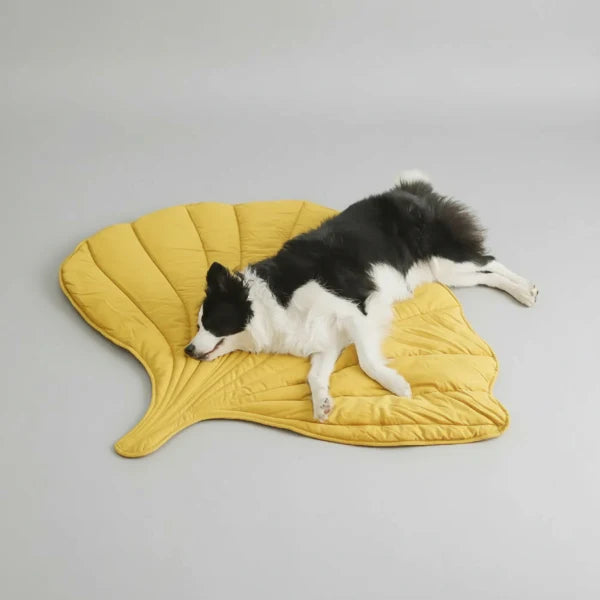 Tapis Design Lavable Pour Chat Et Chien