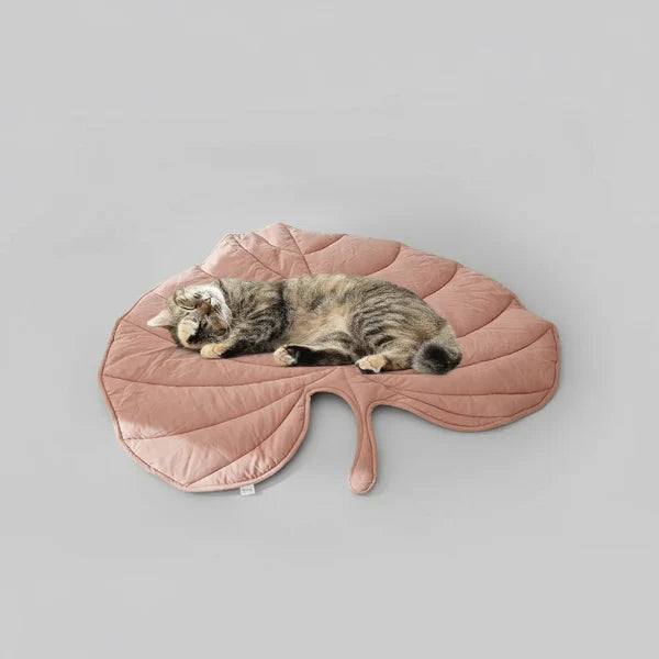 Tapis Design Lavable Pour Chat Et Chien