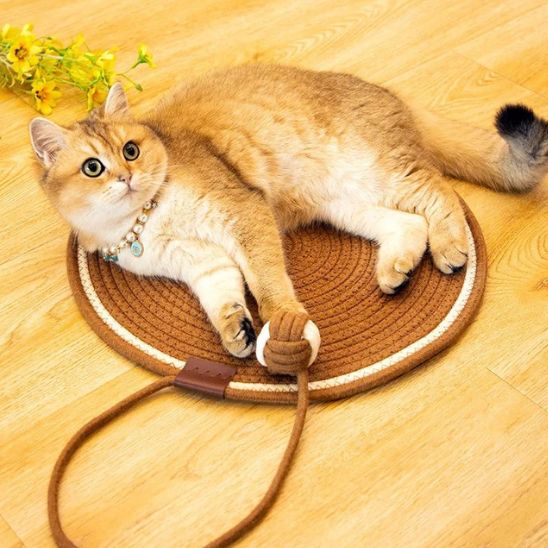 tapis chat griffoir rond