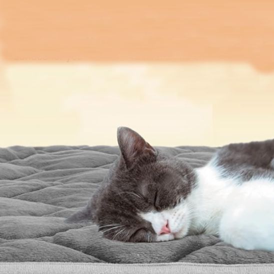 Tapis chauffant chat sans électricité |Chaleur naturelle