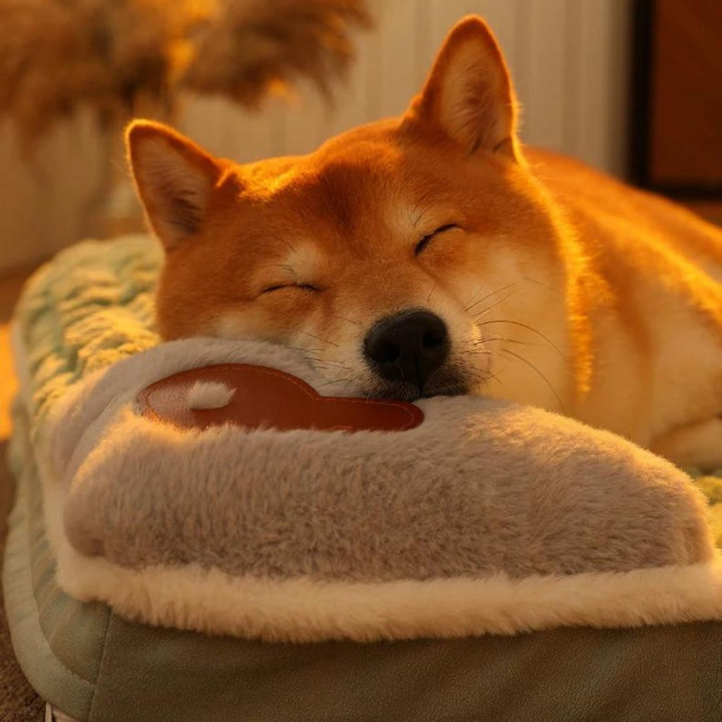 Tapis chien | CozyDreams™