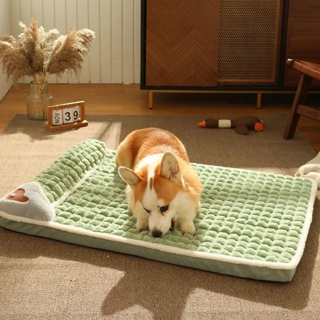 Tapis chien | CozyDreams™