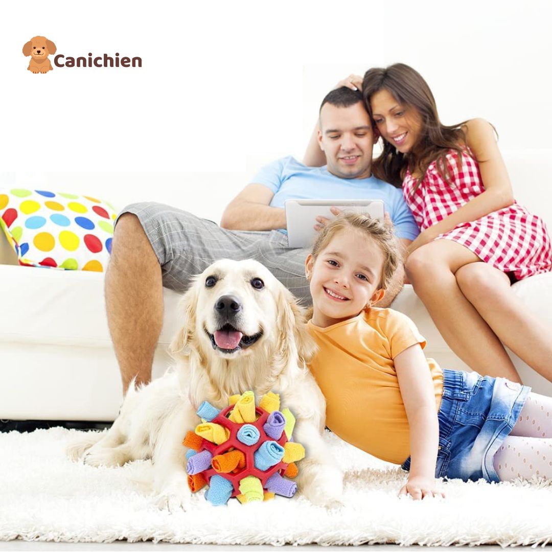Tapis de fouille chien | BrainSniff™