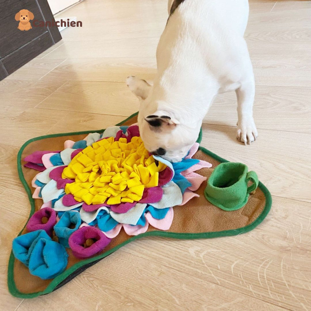 Tapis de fouille chien | SniffNest™