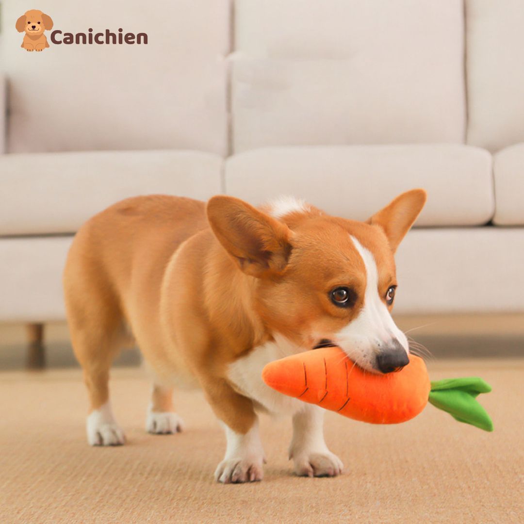 TAPIS DE FOUILLE CHIEN | SniffyMat™