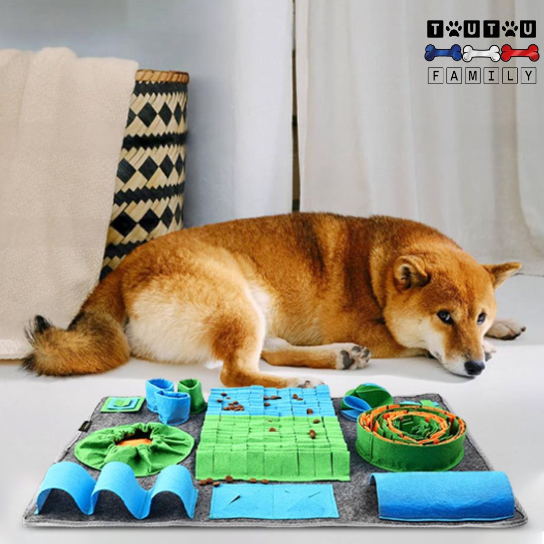 Tapis de fouille chien - ChasseToutou™