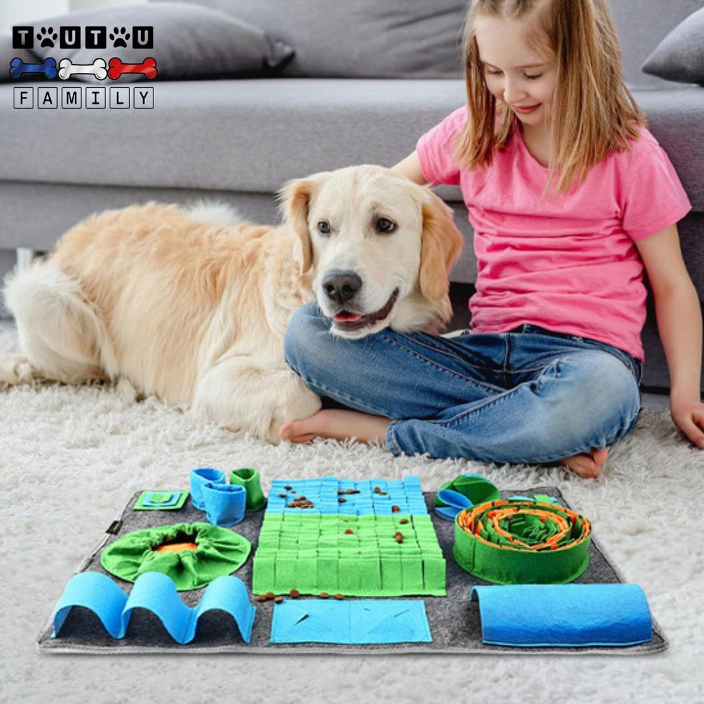 Tapis de fouille chien - ChasseToutou™